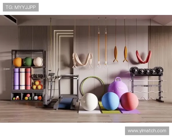 高端健身器材品牌打造家庭健身房典范