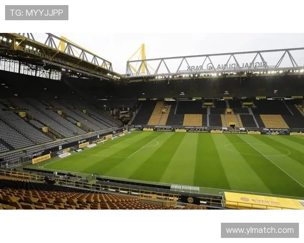 黄黑对决红蓝争锋:解读北威州德甲德比的足球生态与文化影响 黄黑对决红蓝争锋:解读北威州德甲德比的足球生态与文化影响