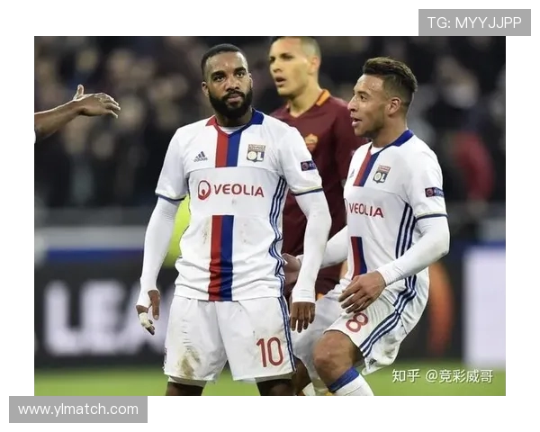 法甲训练场地分析及设施建设现状